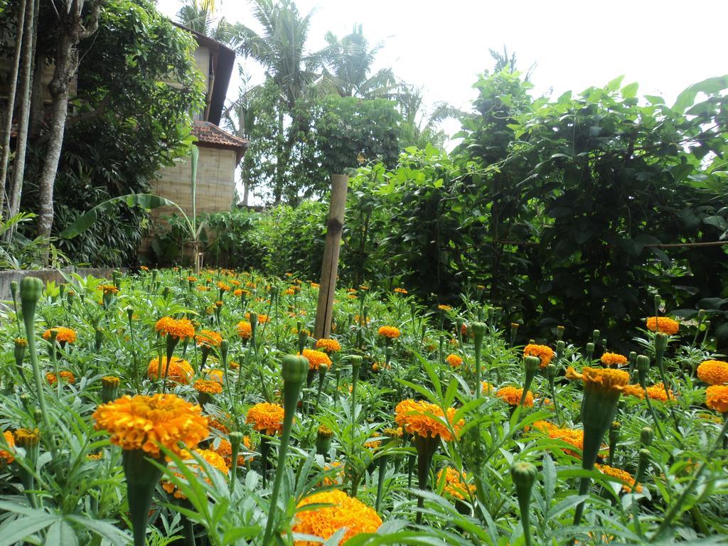Villa Bhuana Alit Ubud  Exterior photo