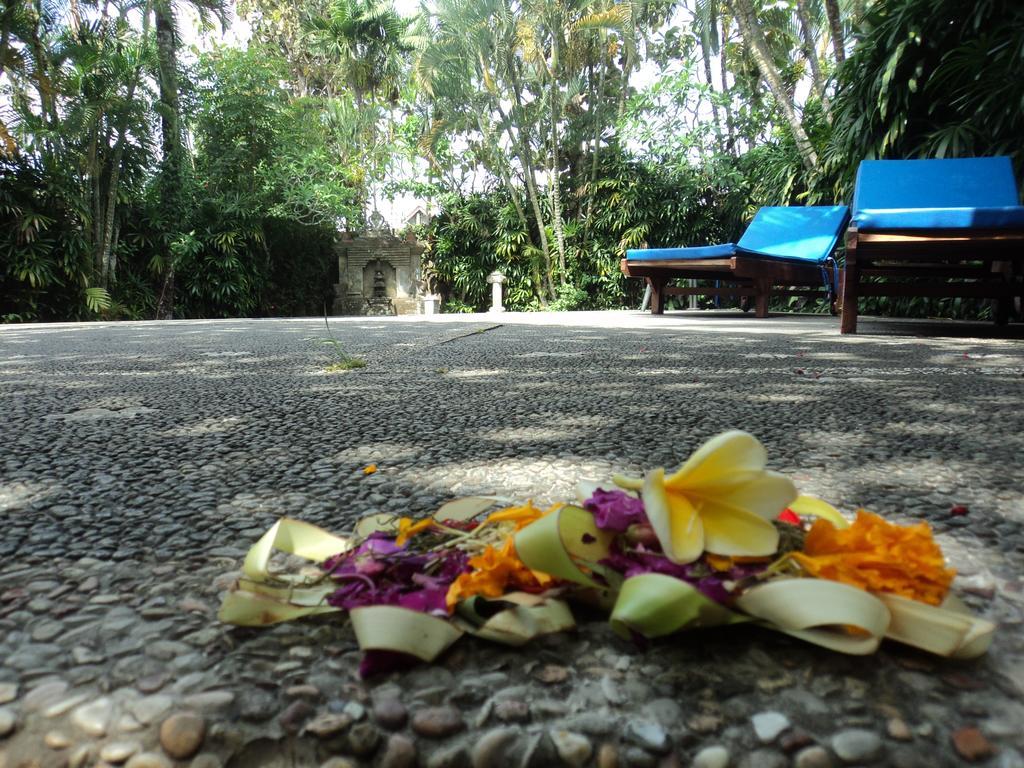 Villa Bhuana Alit Ubud  Exterior photo